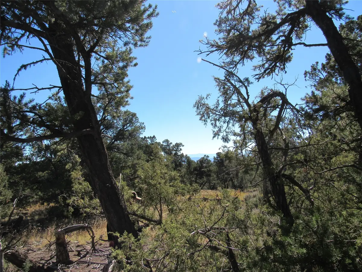 Lot 57 Servilleta, Tres Piedras, NM 87577 - Image #1