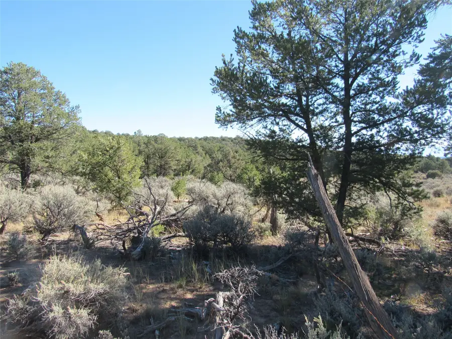 Lot 57 Servilleta, Tres Piedras, NM 87577 - Image #2