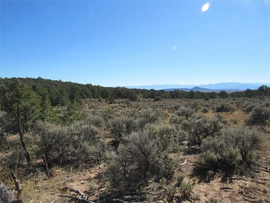 Lot 57 Servilleta, Tres Piedras, NM 87577 - Image #3