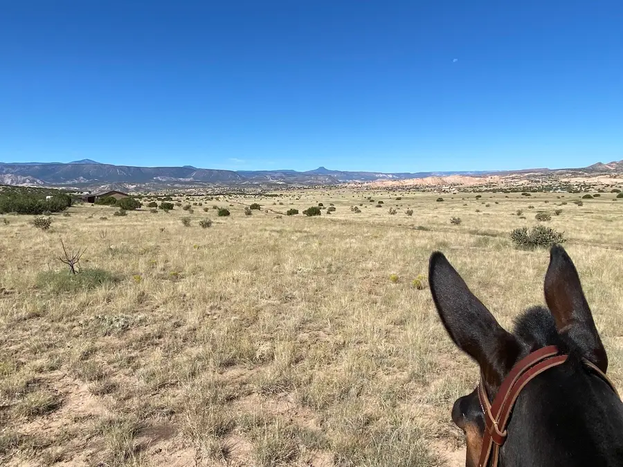 10.75 acres Pinon Rd, Abiquiu, NM 87510 - Image #3