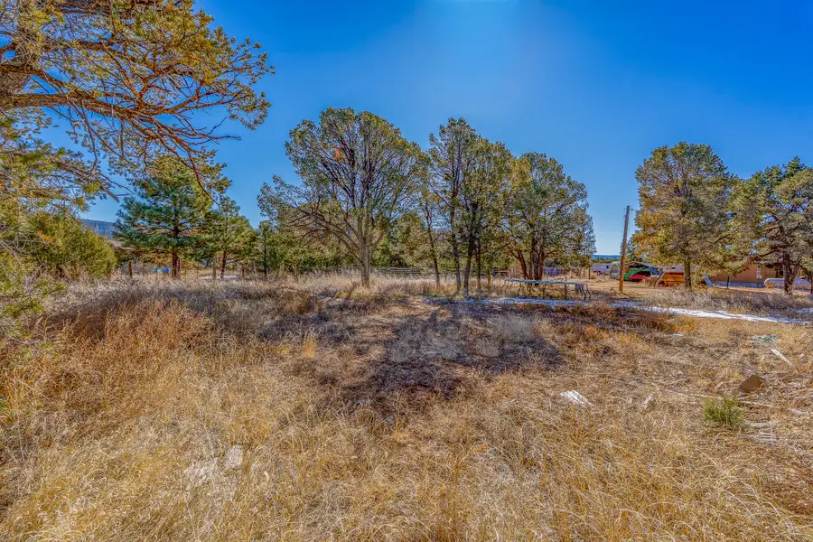 12 Blea, Pecos, NM 87552 - #2