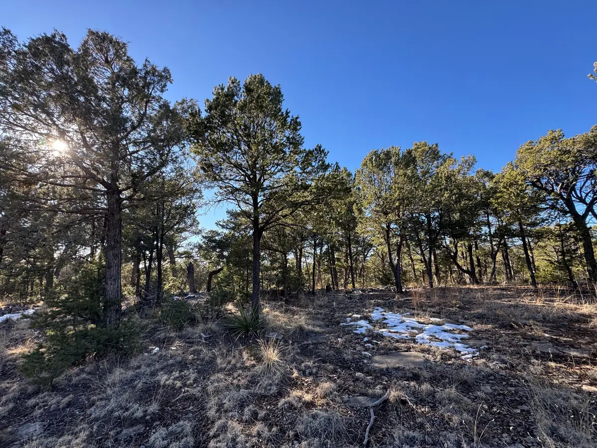 7 Dancing Hawk Drive, Pecos, NM 87552 - #1