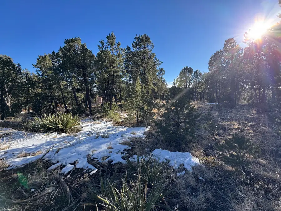 7 Dancing Hawk Drive, Pecos, NM 87552 - #2