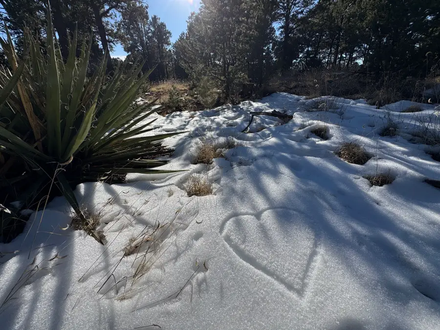 7 Dancing Hawk Drive, Pecos, NM 87552 - #3