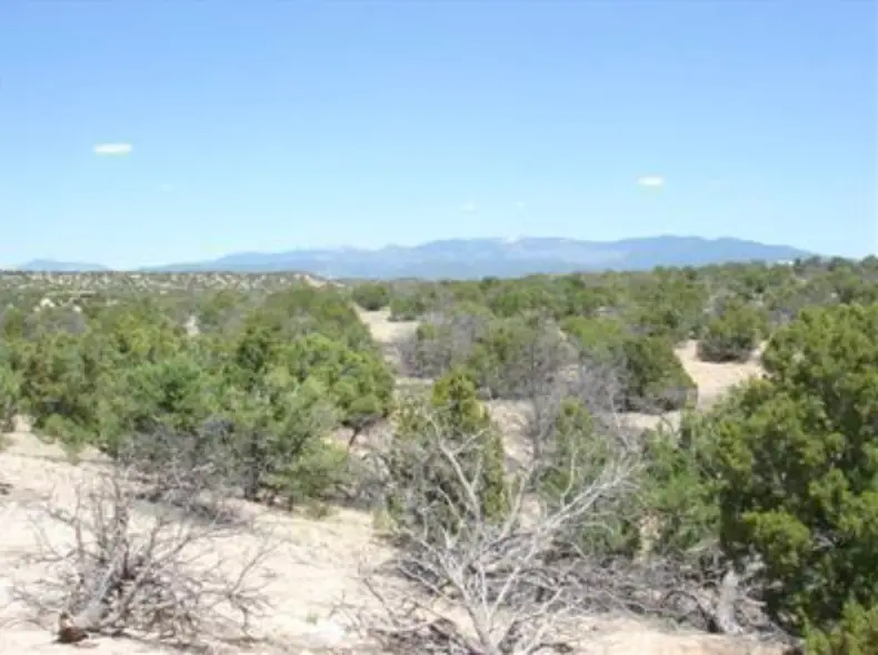 24 Conejo Trail, Santa Fe, NM 87506 - Image #3