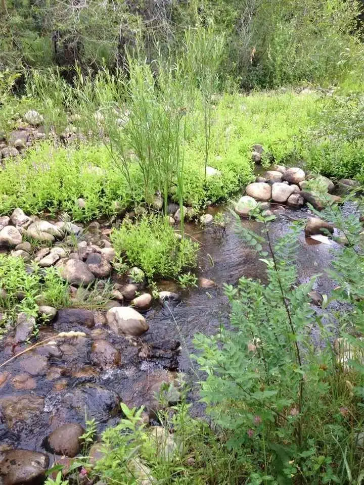 158 St Rd 110, El Rito, NM 87530 - Image #2