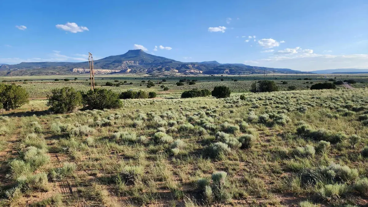 23B/24 Private Drive 1725, Abiquiu, NM 87510 - Image #1