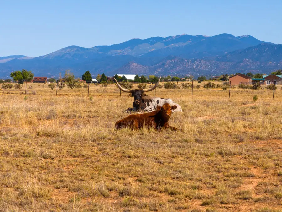 4006 Nm 14, Santa Fe, NM 87508 - Image #3