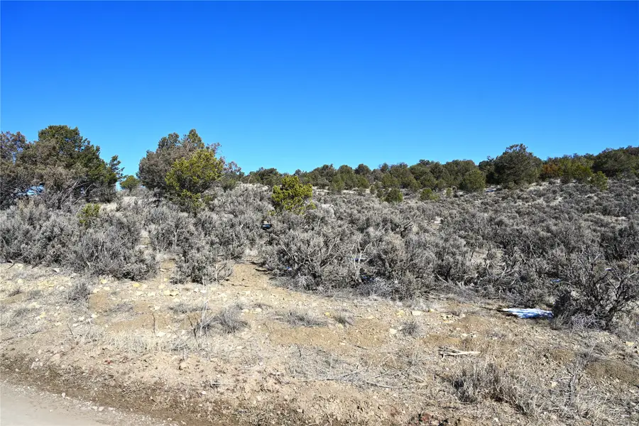 00 Vereda De Caballos, Tierra Amarilla, NM 87575 - #2
