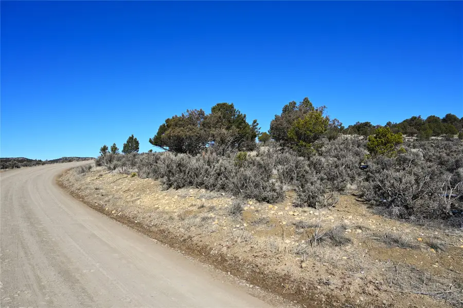 00 Vereda De Caballos, Tierra Amarilla, NM 87575 - #3
