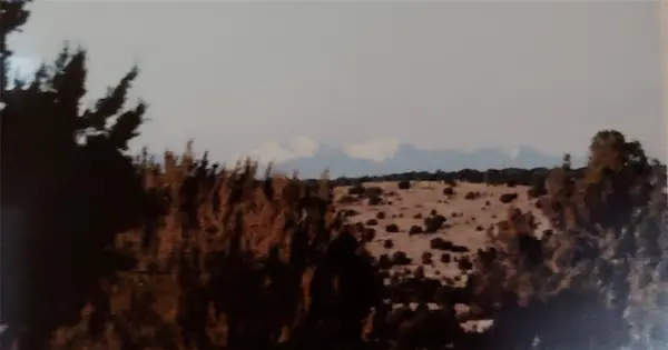 29 Portrillo Creek Ranch, Santa Rosa, NM 88435