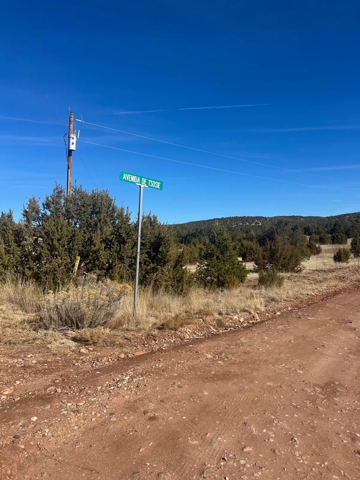 Lot 15 Sanchez Road, Ribera, NM 87560 - #1