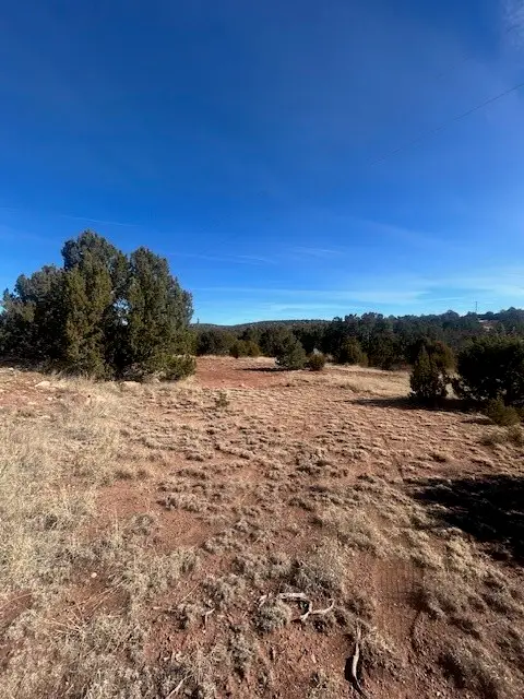Lot 15 Sanchez Road, Ribera, NM 87560 - #3
