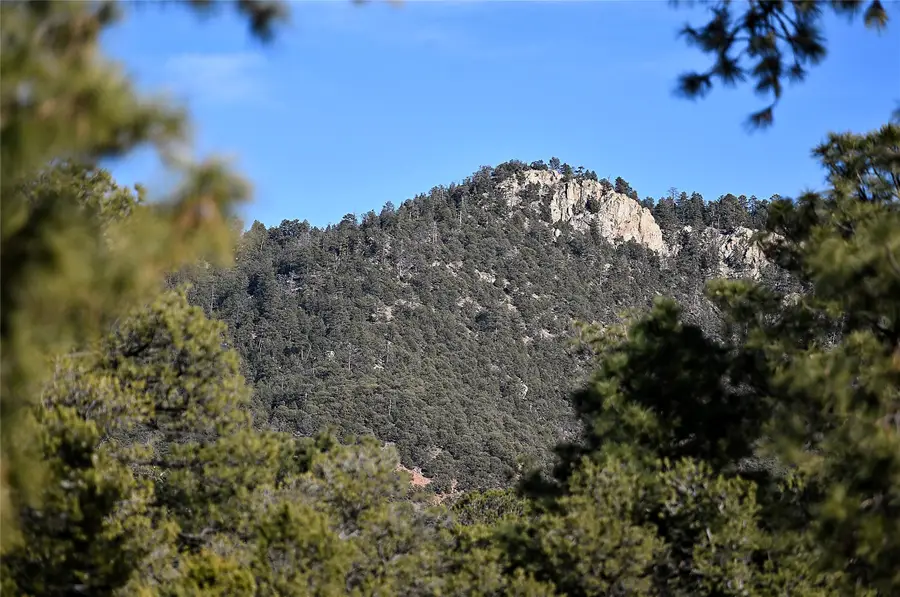 202 Double Arrow Road, Santa Fe, NM 87505 - #2