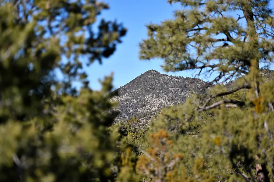 202 Double Arrow Road, Santa Fe, NM 87505 - #3