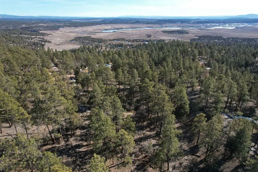 0 Elk Drive, Tierra Amarilla, NM 87575 - #2