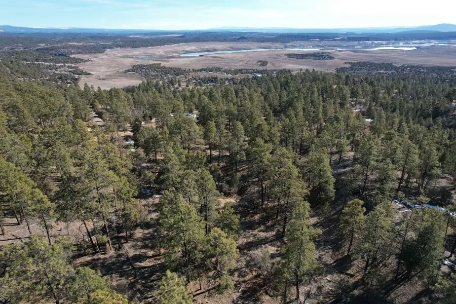0 Elk Drive, Tierra Amarilla, NM 87575 - #3