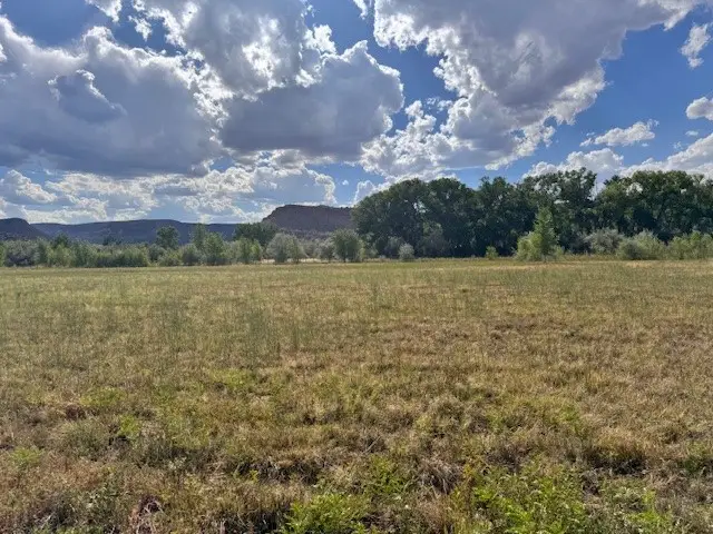 31A Rancho Acequias, Abiquiu, NM 87510 - #2