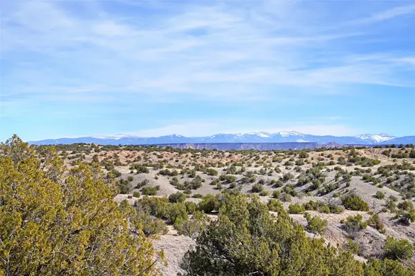 Tract 16-E Corona Drive, Medanales, NM 87548