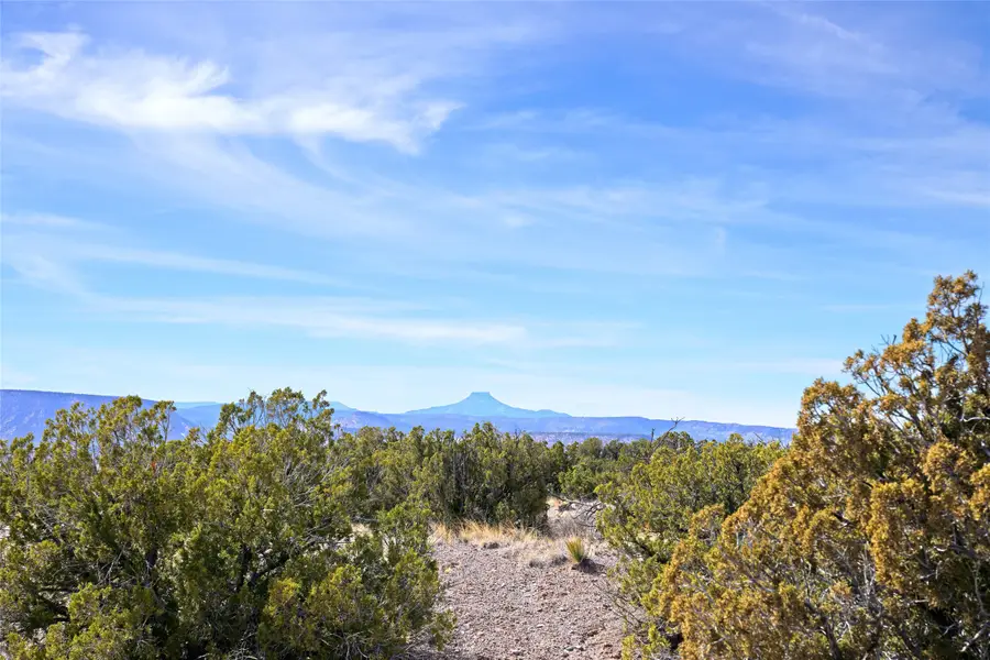 Tract 16-E Corona Drive, Medanales, NM 87548 - #2