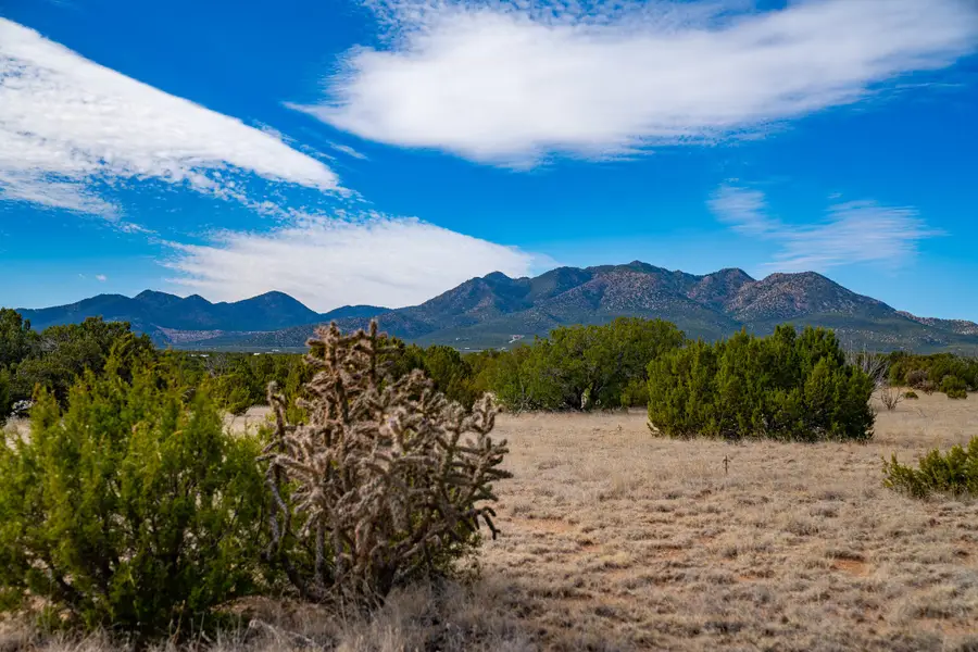 65 Grenfell Ranch, Cerrillos, NM 87010 - #2