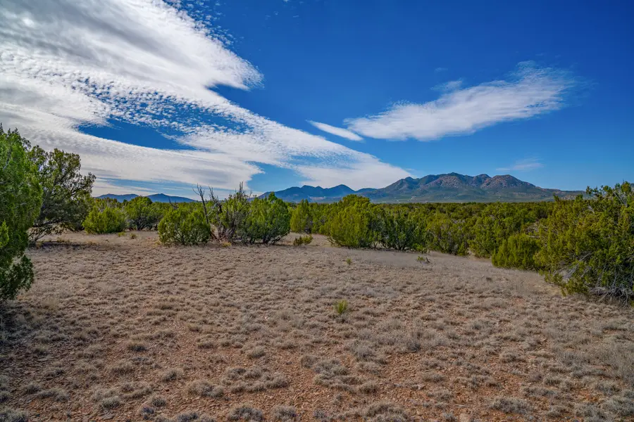 49/65 Blue Agave/grenfell Ranch, Cerrillos, NM 87010 - #3