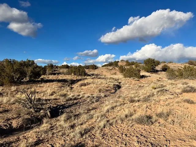 9 Acres Dulce Street, Abiquiu, NM 87510 - #3