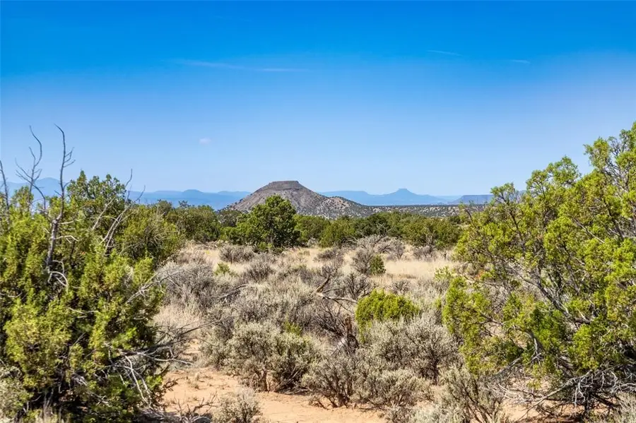 20 acres Mile Marker 359 Hwy 285, Ojo Caliente, NM 87549 - #2