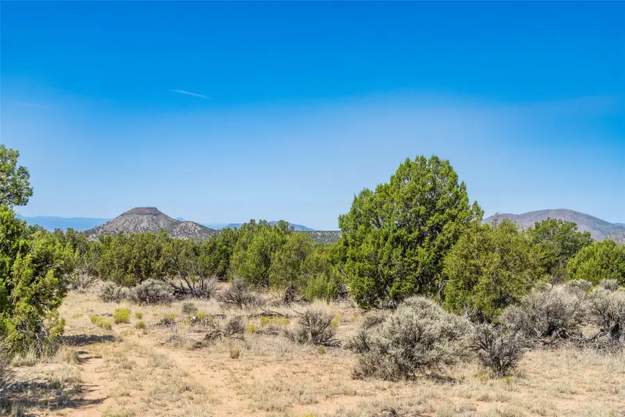20 acres Mile Marker 359 Hwy 285, Ojo Caliente, NM 87549 - #3