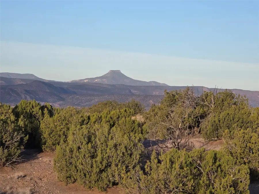 Tract 16-C Corona Drive, Abiquiu, NM 87510 - #3