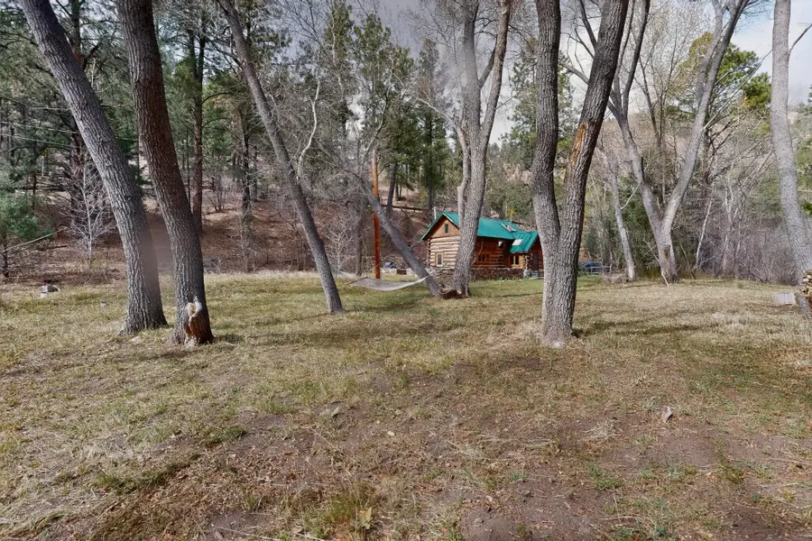 1 Mcferrin Taylor Road, Pecos, NM 87552 - #3