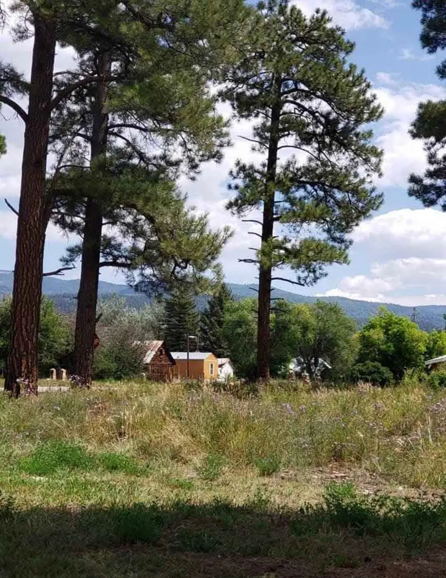 701 Grove Avenue, Chama, NM 87520 - #2