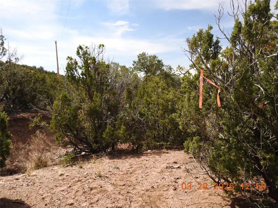 10 Pacheco Meadow Lane, Santa Fe, NM 87506 - #2