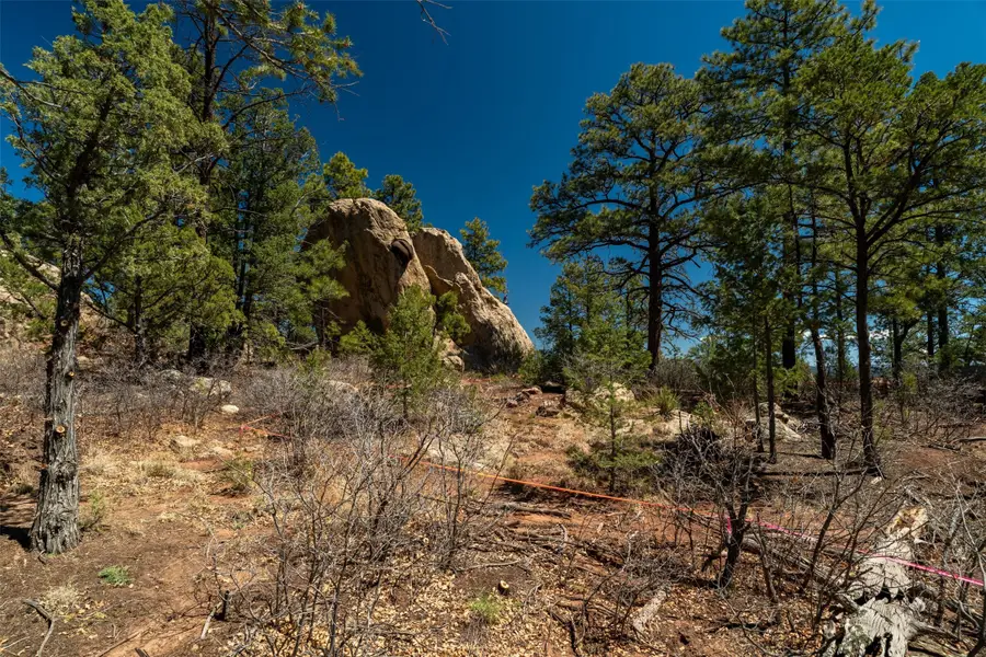 30 Monte La Cueva Road, Glorieta, NM 87535 - #2