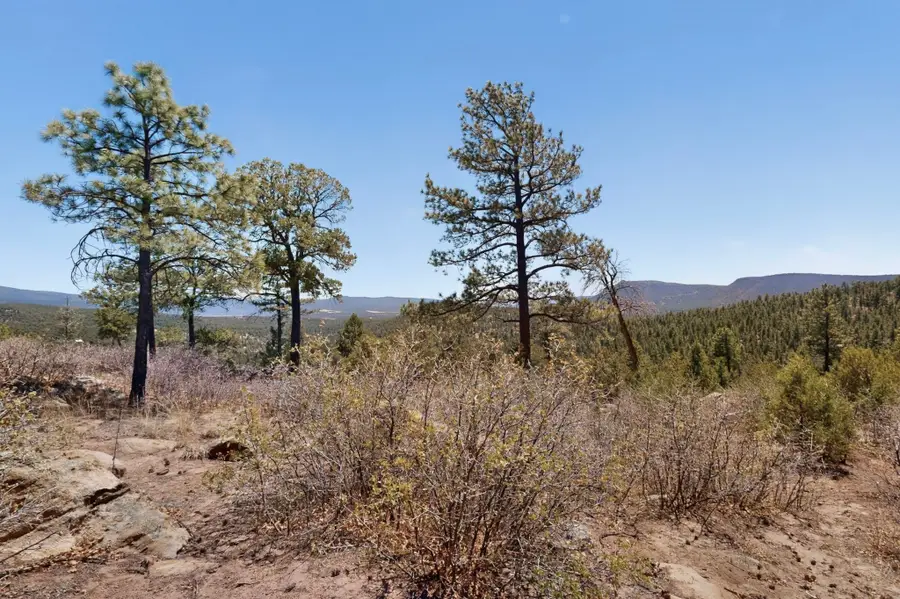 30 Monte La Cueva Road, Glorieta, NM 87535 - #3