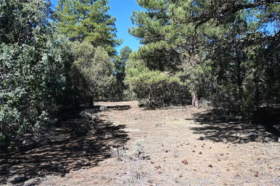 00 Nm Sr 64, Tierra Amarilla, NM 87575 - #2