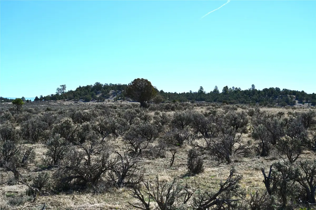 00 Pajarito Dr, Tierra Amarilla, NM 87575 - #1