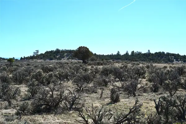 00 Pajarito Dr, Tierra Amarilla, NM 87575