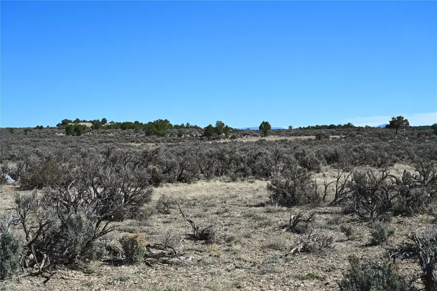 00 Pajarito Dr, Tierra Amarilla, NM 87575 - #2