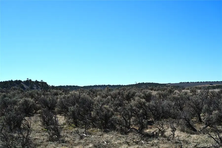 00 Pajarito Dr, Tierra Amarilla, NM 87575 - #3