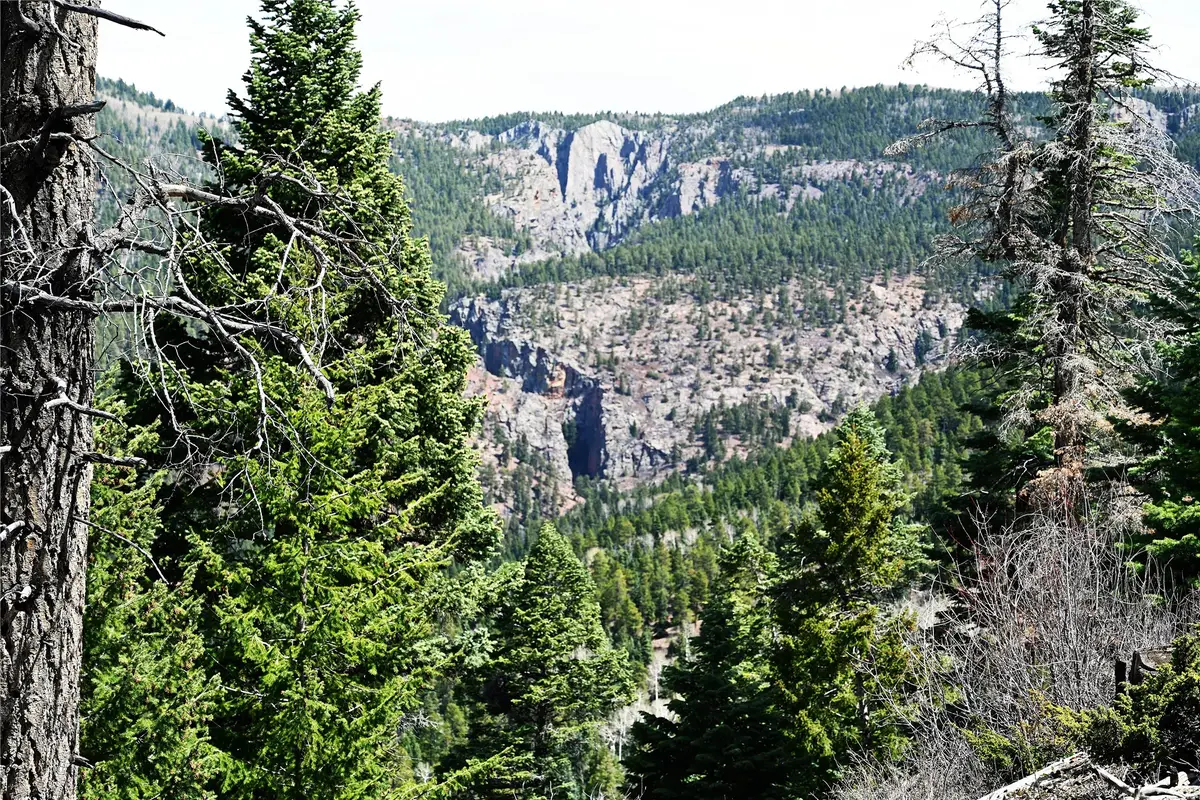 00 Ticonderoga Dr, Chama, NM 87520 - #1