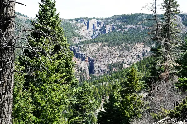 00 Ticonderoga Dr, Chama, NM 87520