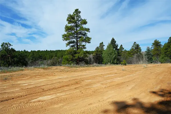 6 Badger Park, Chama, NM 87520