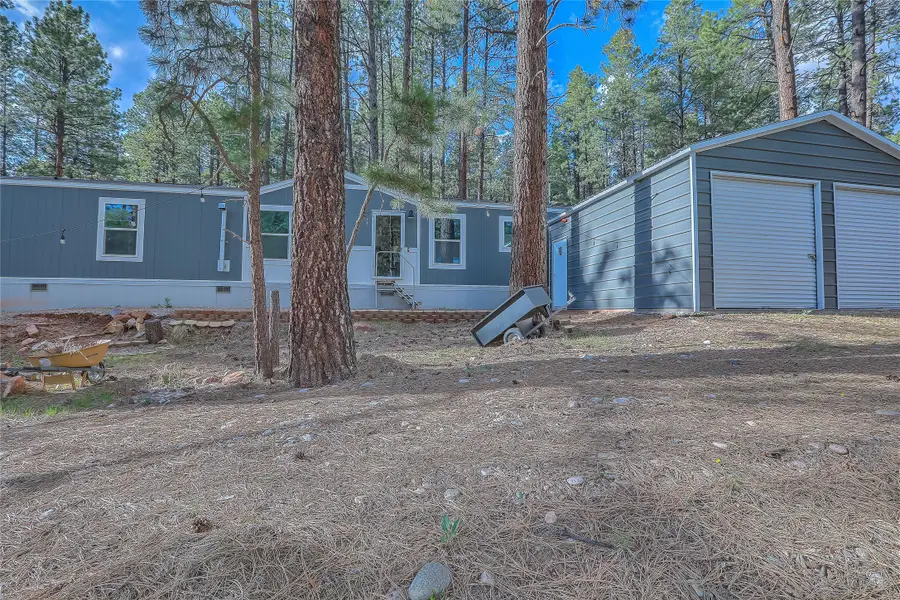 18 Private Dr A & B, Chama, NM 87520 - #3