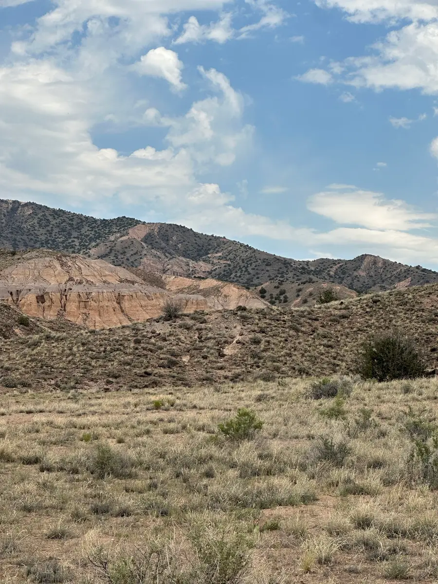 14 Blackfoot Trail, Abiquiu, NM 87510 - #3