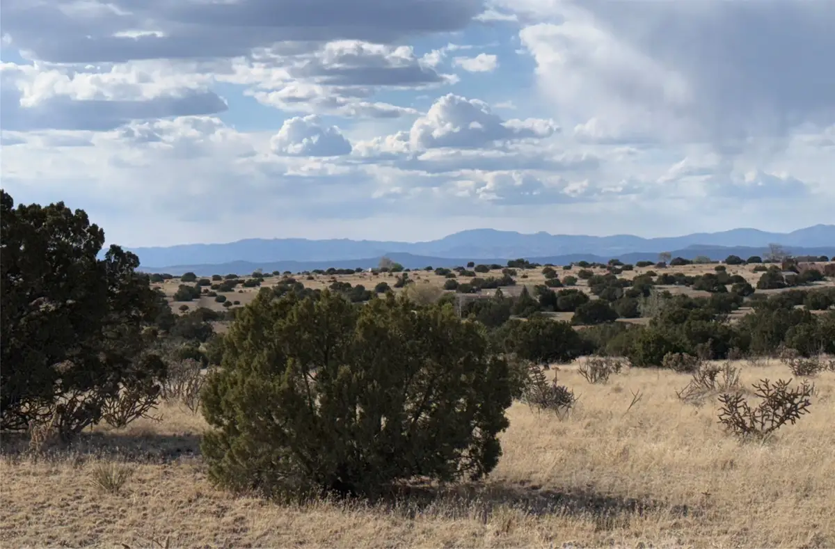 59 Mejor Lado, Santa Fe, NM 87508 - #1