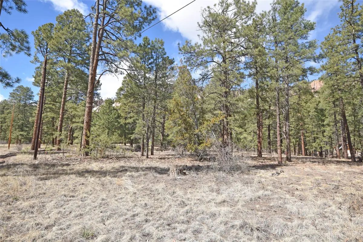 Lot 49A Cool Pines, Jemez Springs, NM 87025 - #1