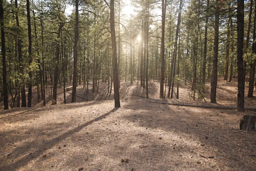 Lot 49A Cool Pines, Jemez Springs, NM 87025 - #3