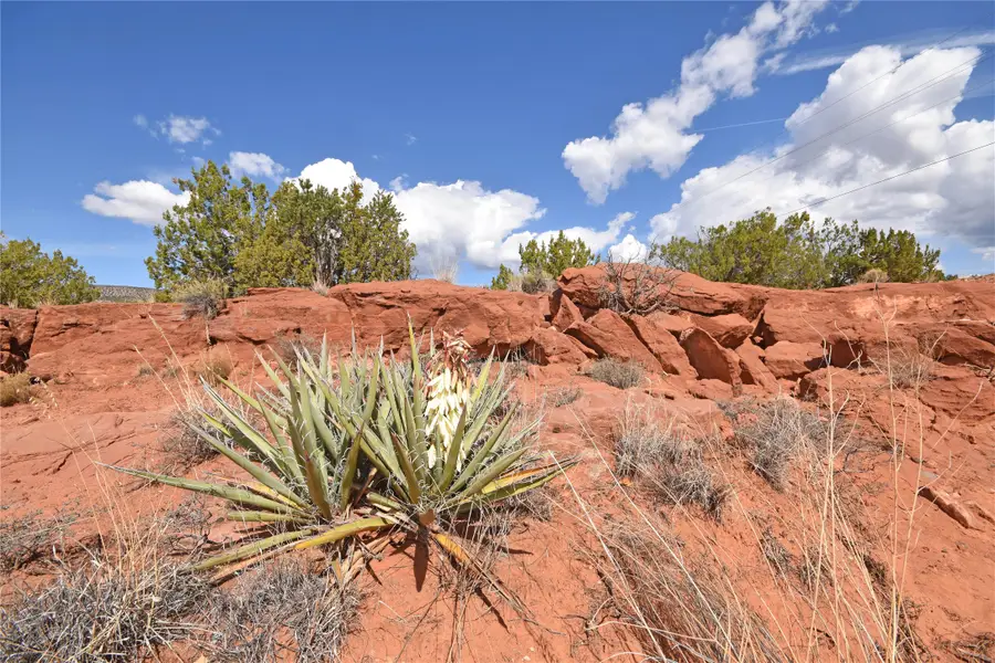 Lot 16 Unit 2 Jemez Canyon Estates, Canon, NM 87025 - #2