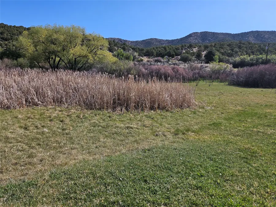 0 Nm 503, Cundiyo, NM 87522 - #2